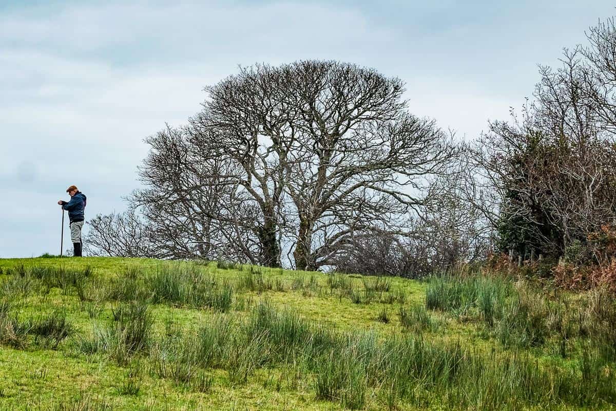 2017-Bob-Galway-7313